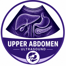 Upper Abdomen Ultrasound